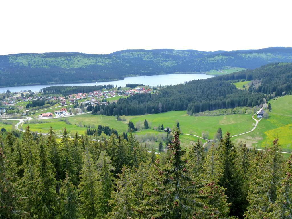 Ferienwohnung Schluchsee Δωμάτιο φωτογραφία